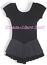 SHOW STOPPER SKATING DRESS IMAGE