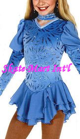 BLUEBIRD SKATING DRESS IMAGE