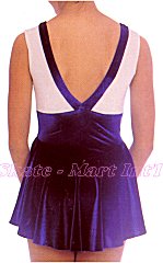 ROYAL/WHITE SKATING DRESS IMAGE