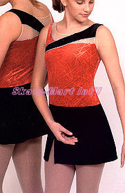 DIMENSIONS SKATING DRESS IMAGE