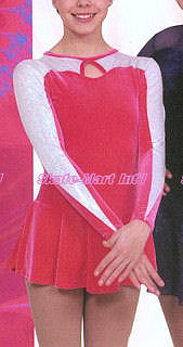 SLEEK SKATING DRESS IMAGE
