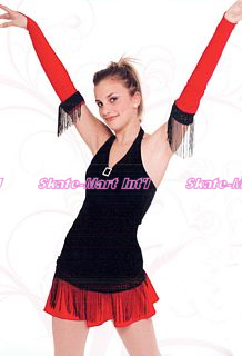 CHA CHA SKATING DRESS IMAGE