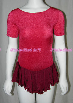 DIMENSIONS SKATING DRESS IMAGE